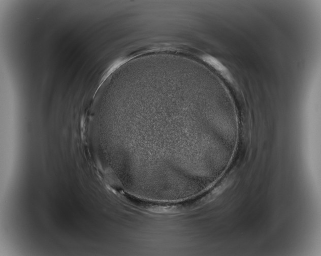 X0000086231369200704051147