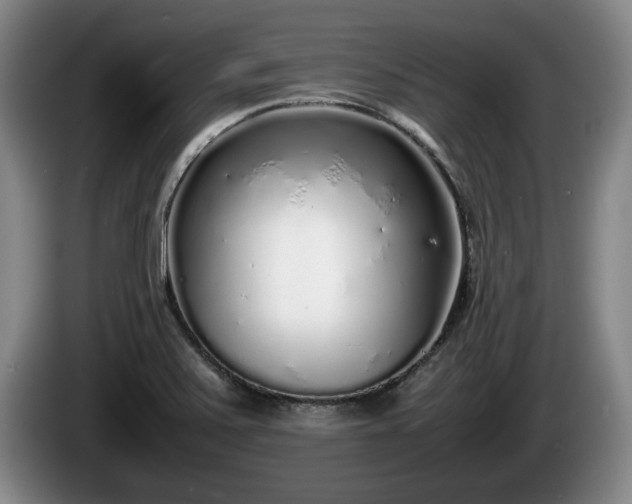 X0000086231371200704051147