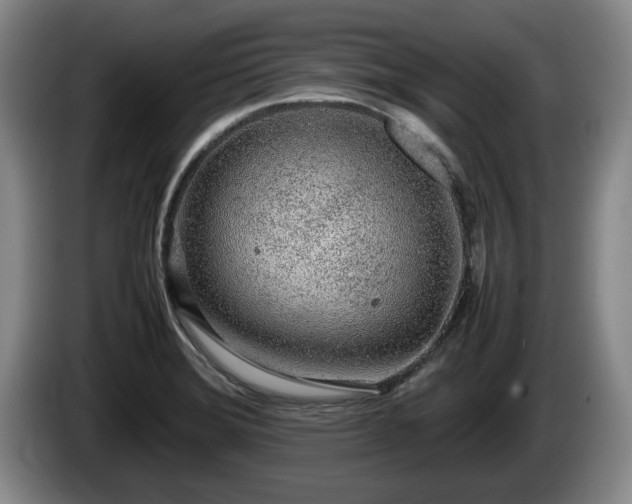 X0000086231372200704051147
