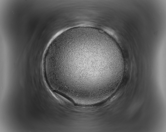 X0000086231375200704051147
