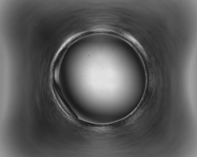 X0000086231376200704051147
