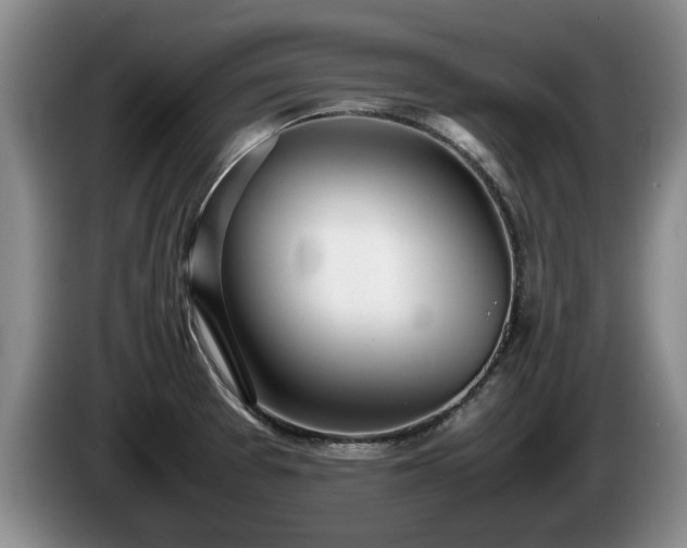 X0000086231377200704051147
