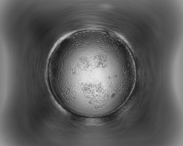 X0000086231379200704051147