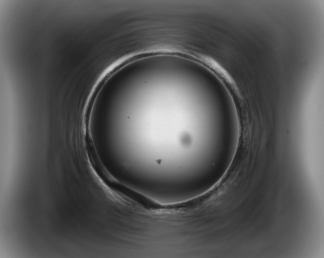 X0000086231380200704051147