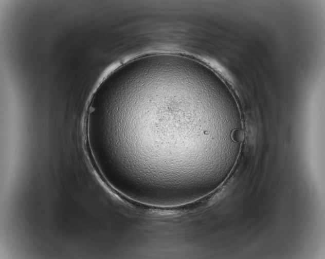 X0000086231382200704051147