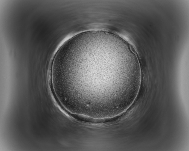 X0000086231383200704051147