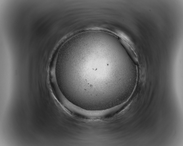 X0000086231384200704051147