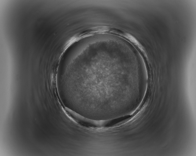 X0000086231385200704051147