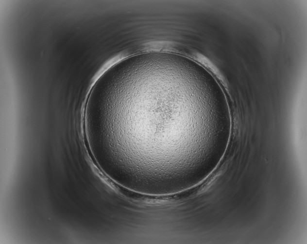 X0000086231386200704051147