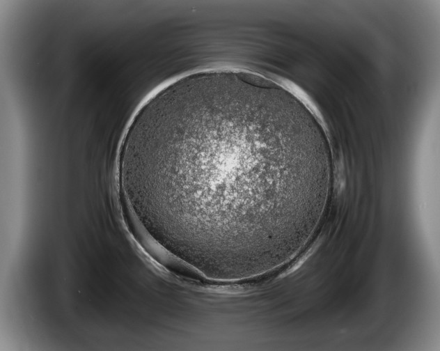 X0000086231388200704051147