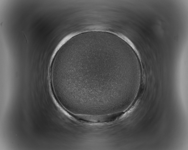 X0000086231389200704051147