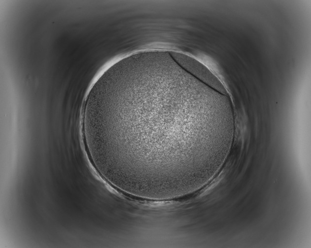 X0000086231390200704051147
