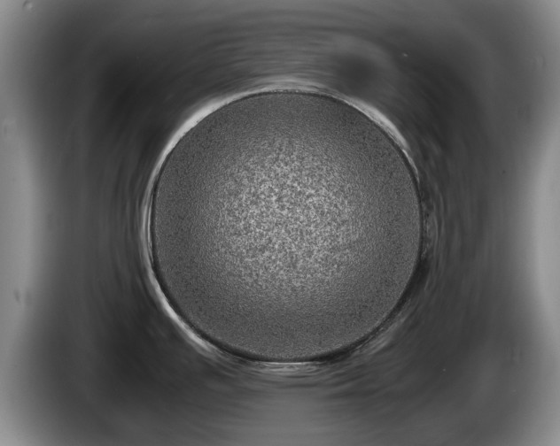 X0000086231391200704051147