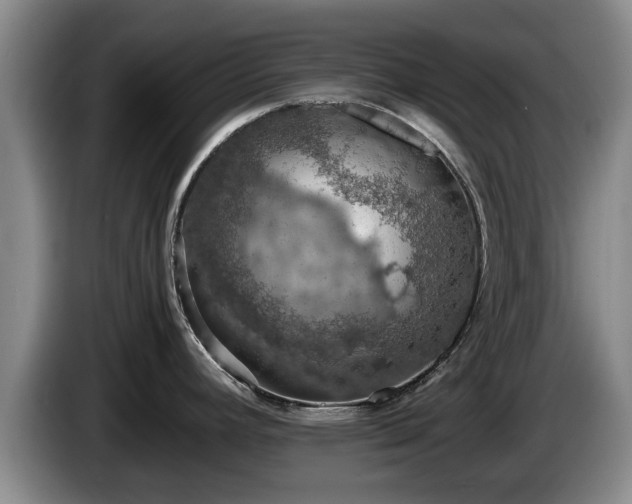 X0000086231392200704051147