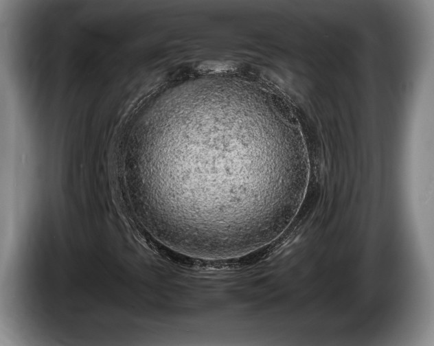 X0000086231393200704051146