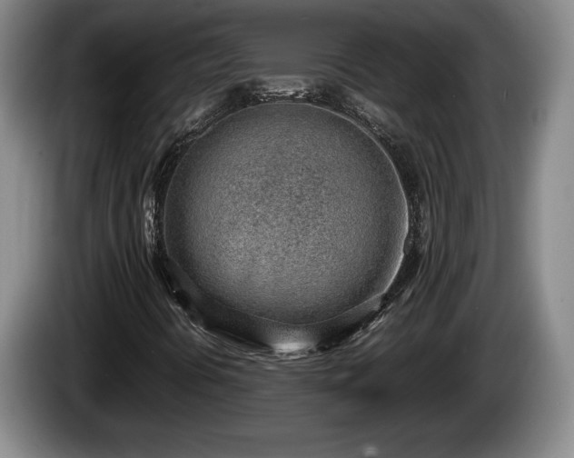 X0000086231394200704051146