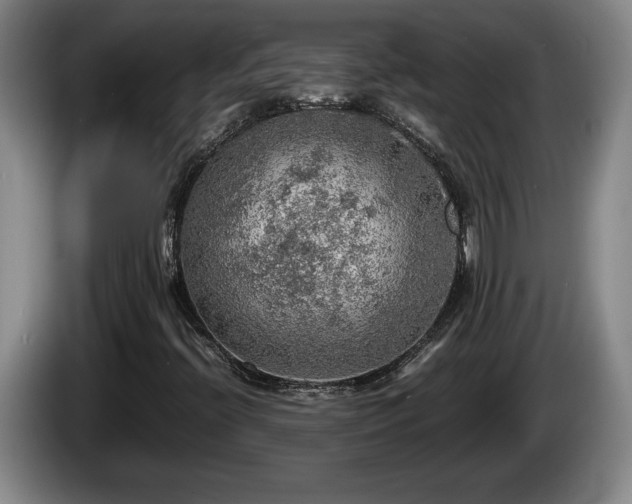 X0000086231396200704051146