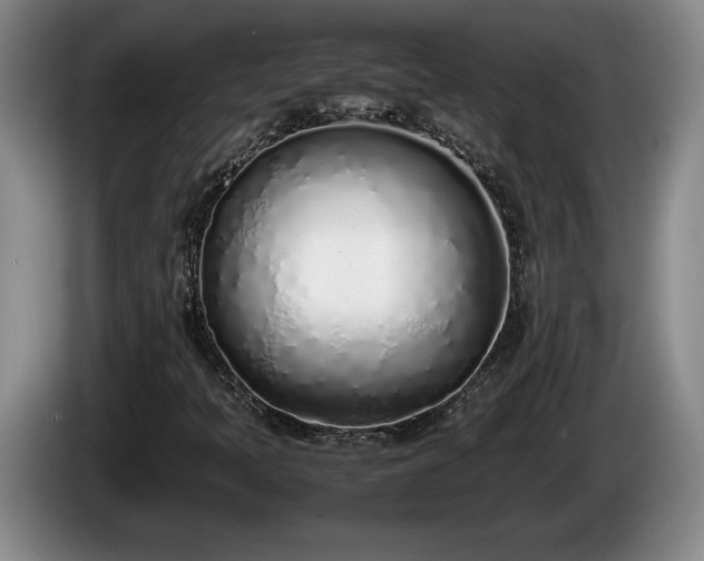 X0000086231397200704051146