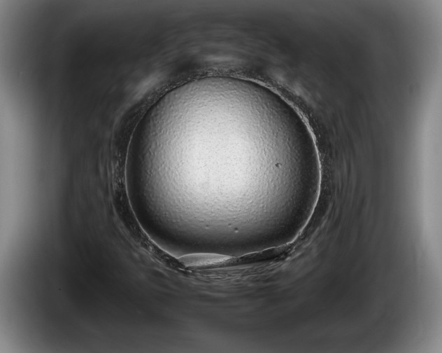 X0000086231399200704051146