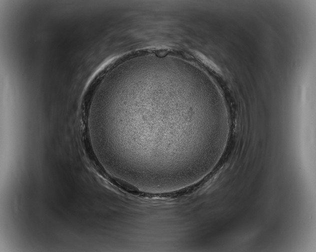 X0000086231400200704051146