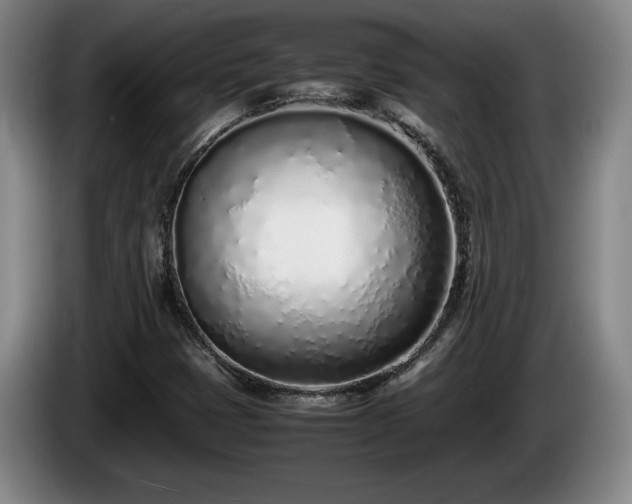 X0000086231401200704051146