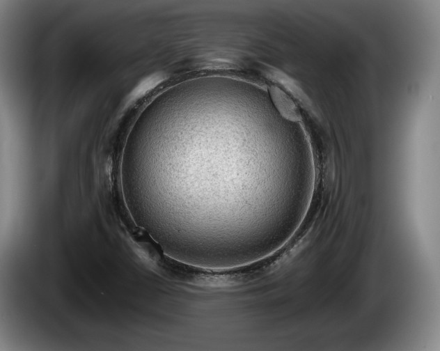 X0000086231402200704051146