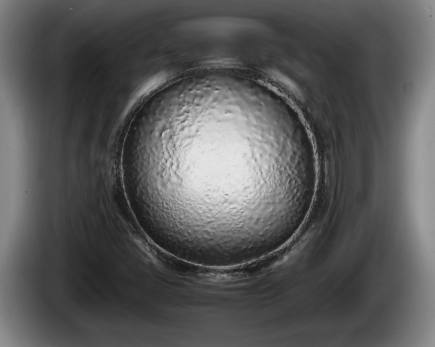 X0000086231405200704051146