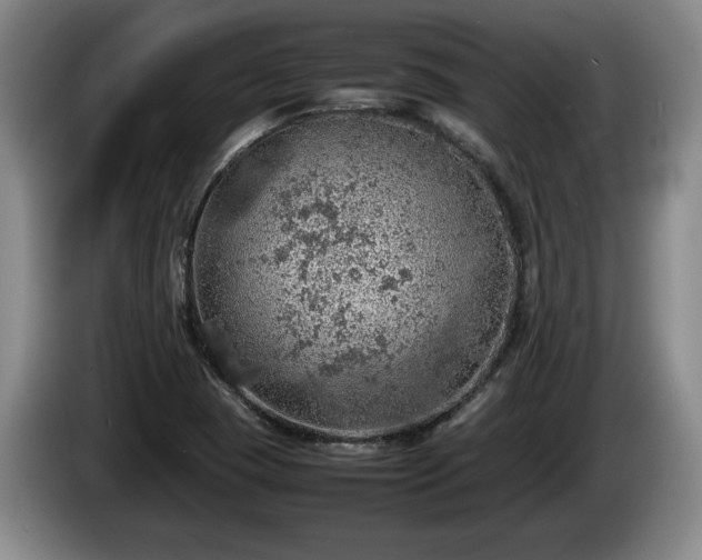 X0000086231409200704051146