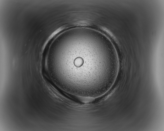 X0000086231410200704051146
