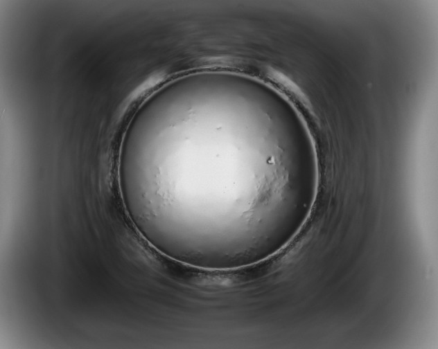 X0000086231411200704051146