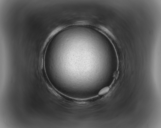 X0000086231413200704051146