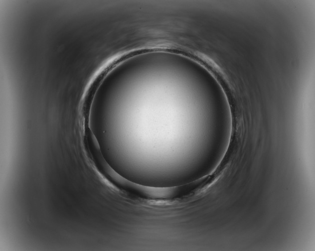 X0000086231414200704051146