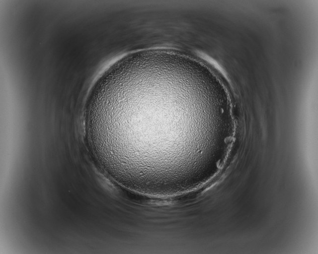 X0000086231415200704051146