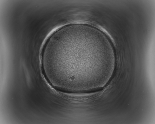 X0000086231416200704051146