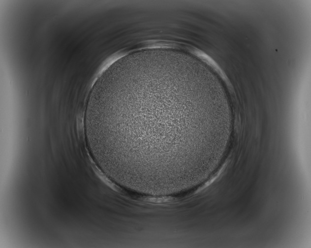 X0000086231417200704051146