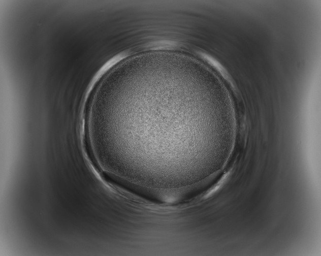 X0000086231418200704051146
