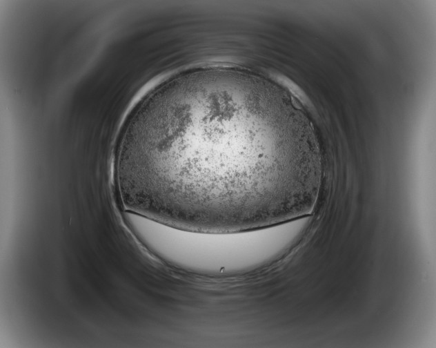 X0000086231420200704051146