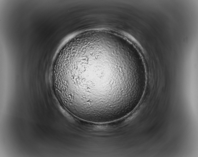 X0000086231421200704051146