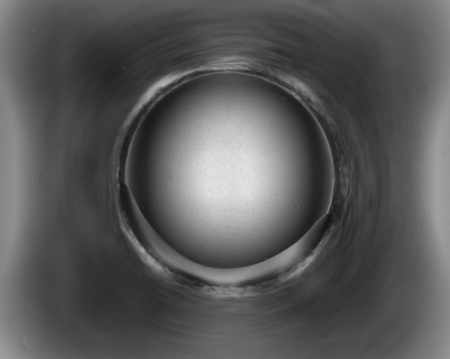 X0000086231422200704051146