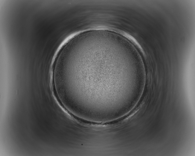 X0000086231424200704051146