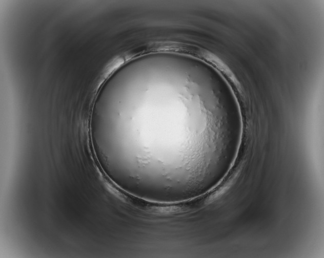 X0000086231425200704051146