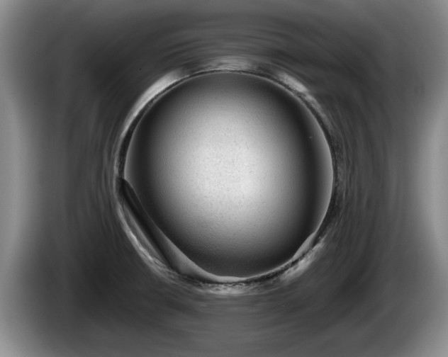 X0000086231426200704051146