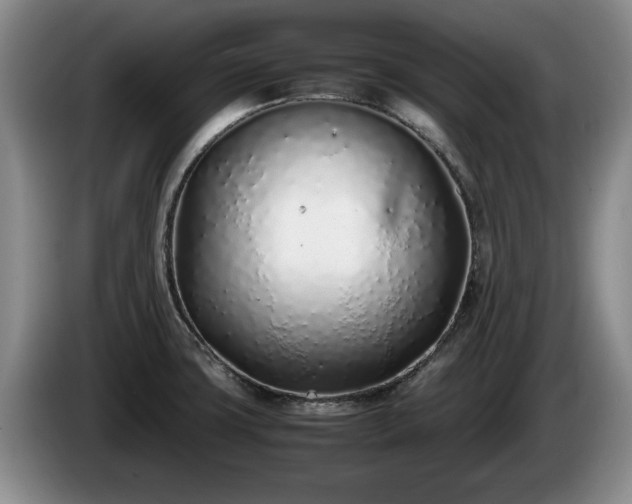 X0000086231427200704051146