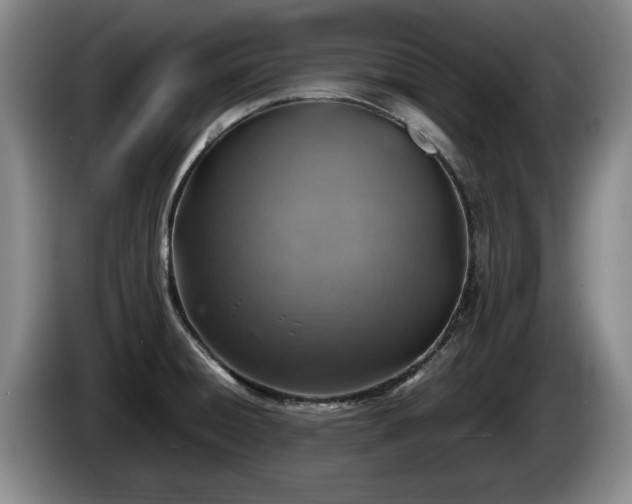 X0000086231428200704051146