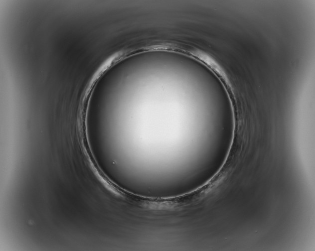 X0000086231429200704051146