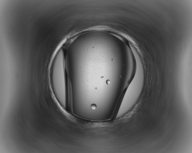 X0000086231430200704051146