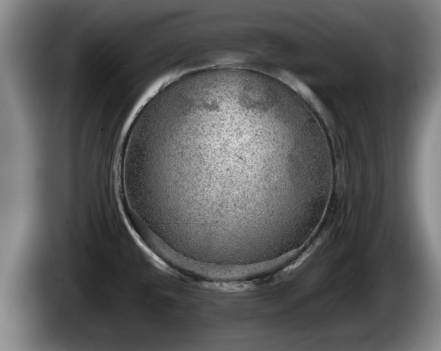 X0000086231432200704051147