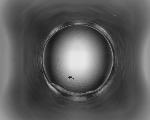 X0000086231433200704051147