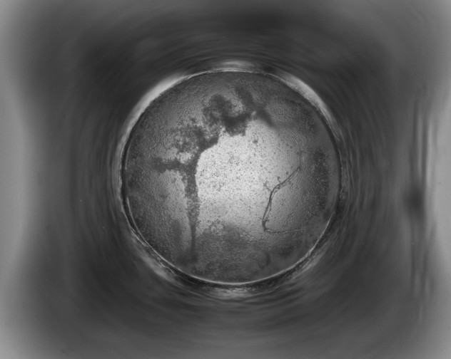 X0000086231435200704051147