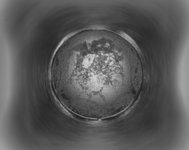 X0000086231436200704051147